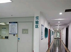 安庆妇幼保建院能做血缘检测吗，安庆医院办理血缘检测办理条件