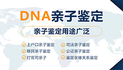 安庆正规DNA鉴定机构，安庆正规的DNA亲子鉴定大概价格