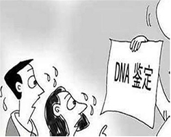 安庆妇幼保建院能办理DNA亲子鉴定吗，安庆医院办理亲子鉴定需要什么材料和流程